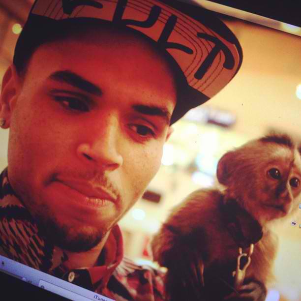 Chris Brown Reportedly Set To Face Jail Term (Details)